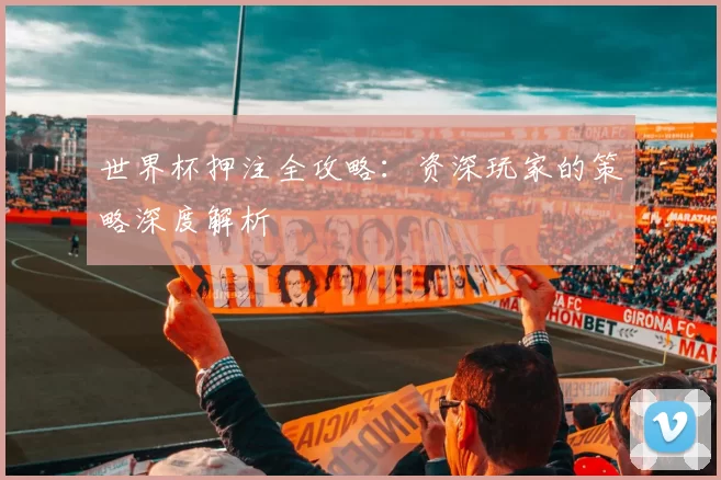 世界杯押注全攻略:资深玩家的策略深度解析