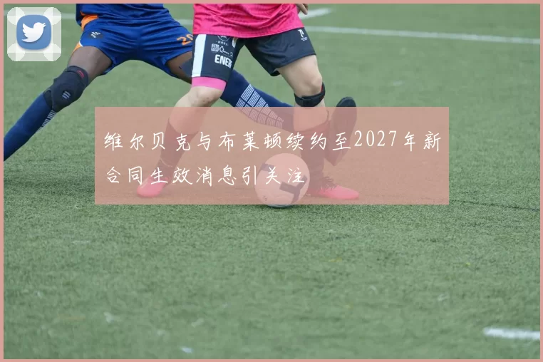 维尔贝克与布莱顿续约至2027年新合同生效消息引关注