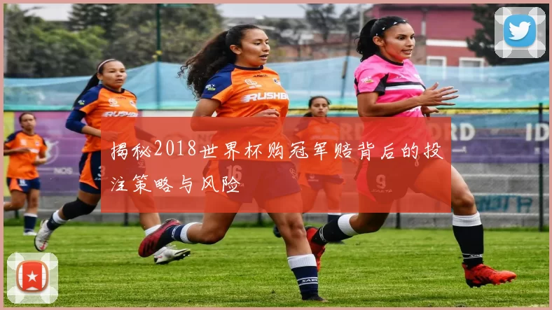 揭秘2018世界杯购冠军赔背后的投注策略与风险