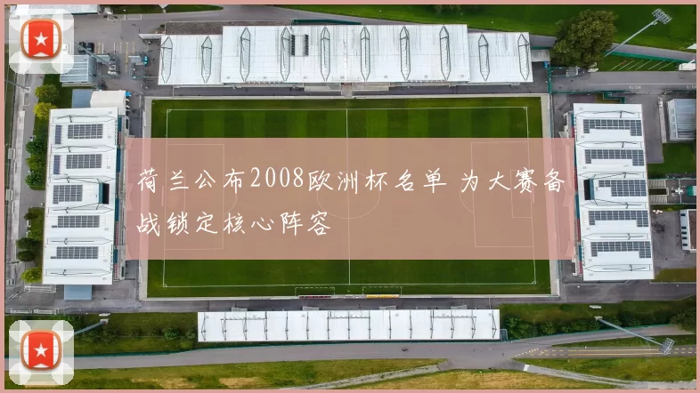 荷兰公布2008欧洲杯名单 为大赛备战锁定核心阵容