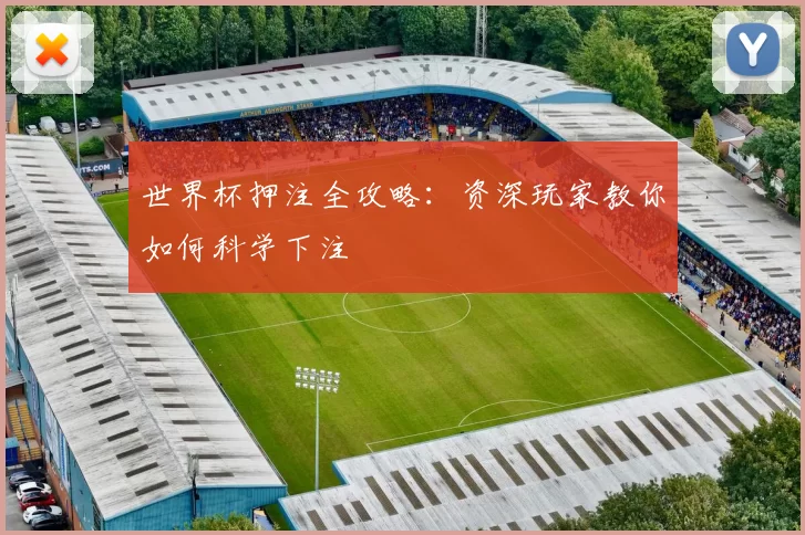 世界杯押注全攻略:资深玩家教你如何科学下注