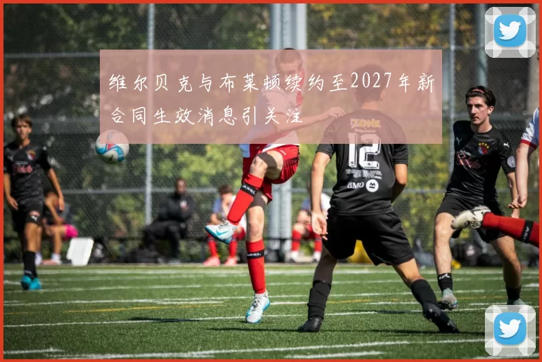 维尔贝克与布莱顿续约至2027年新合同生效消息引关注