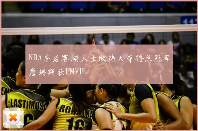 NBA季后赛湖人击败热火夺得总冠军詹姆斯获FMVP