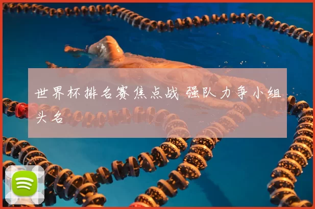 世界杯排名赛焦点战 强队力争小组头名