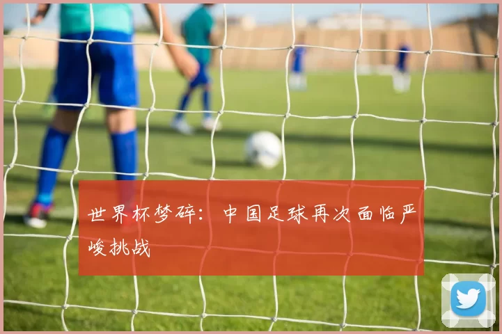 世界杯梦碎：中国足球再次面临严峻挑战