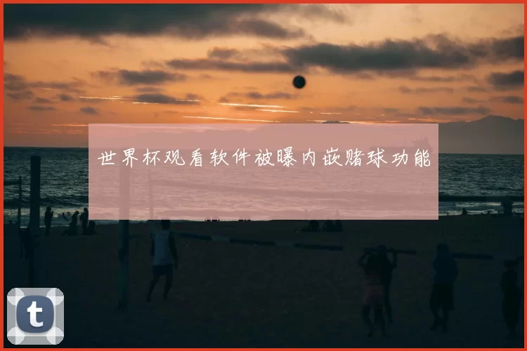 世界杯观看软件被曝内嵌赌球功能