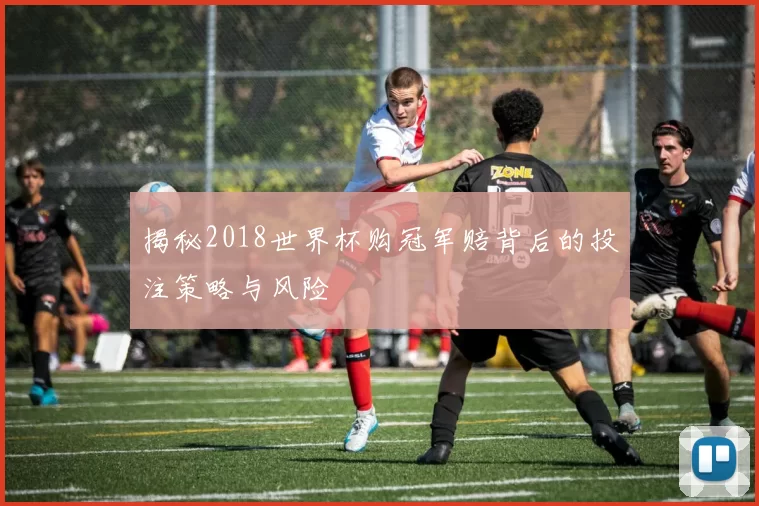 揭秘2018世界杯购冠军赔背后的投注策略与风险