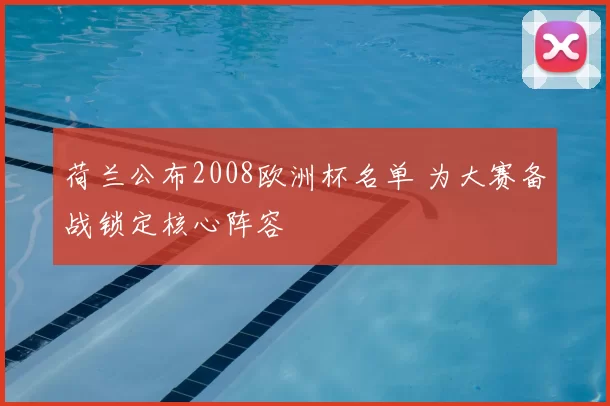 荷兰公布2008欧洲杯名单 为大赛备战锁定核心阵容