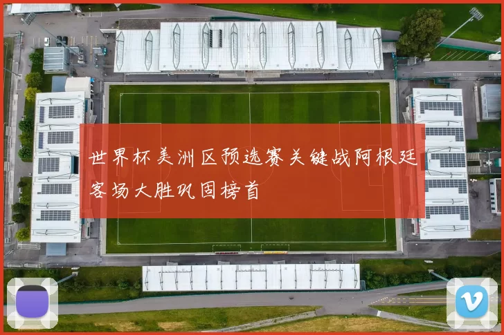 世界杯美洲区预选赛关键战阿根廷客场大胜巩固榜首