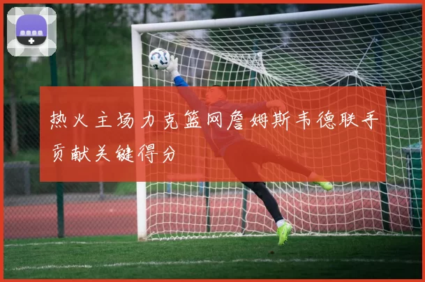 热火主场力克篮网詹姆斯韦德联手贡献关键得分