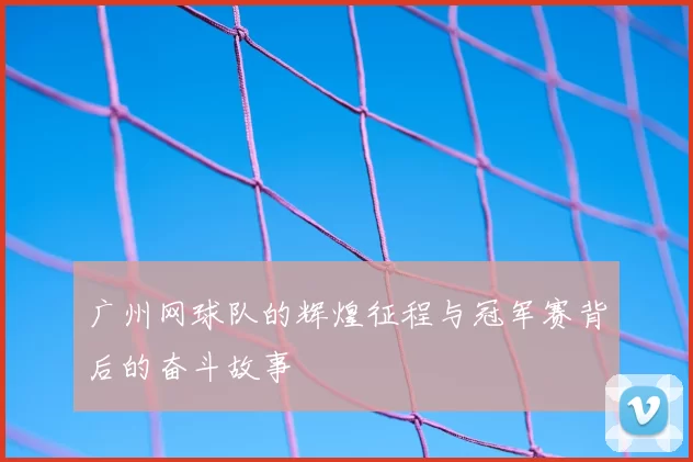 广州网球队的辉煌征程与冠军赛背后的奋斗故事