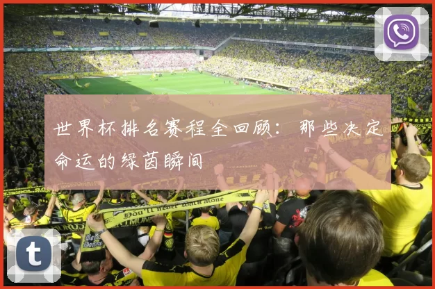 世界杯排名赛程全回顾:那些决定命运的绿茵瞬间