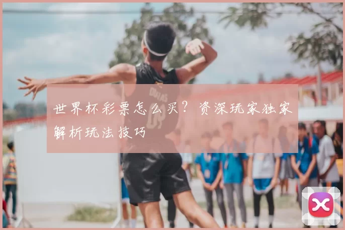 世界杯彩票怎么买？资深玩家独家解析玩法技巧