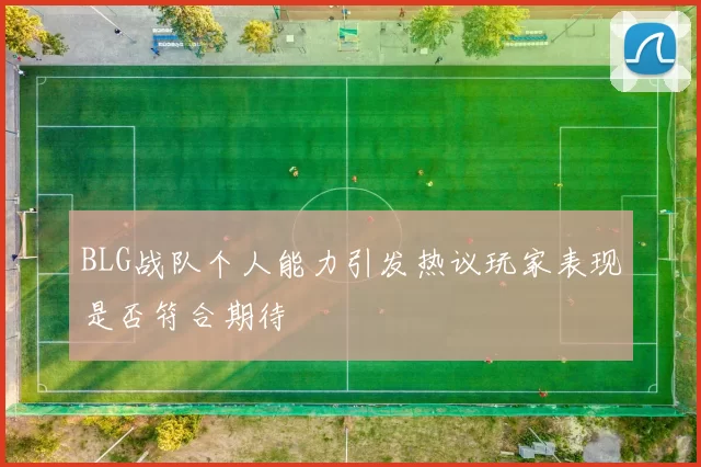 BLG战队个人能力引发热议玩家表现是否符合期待