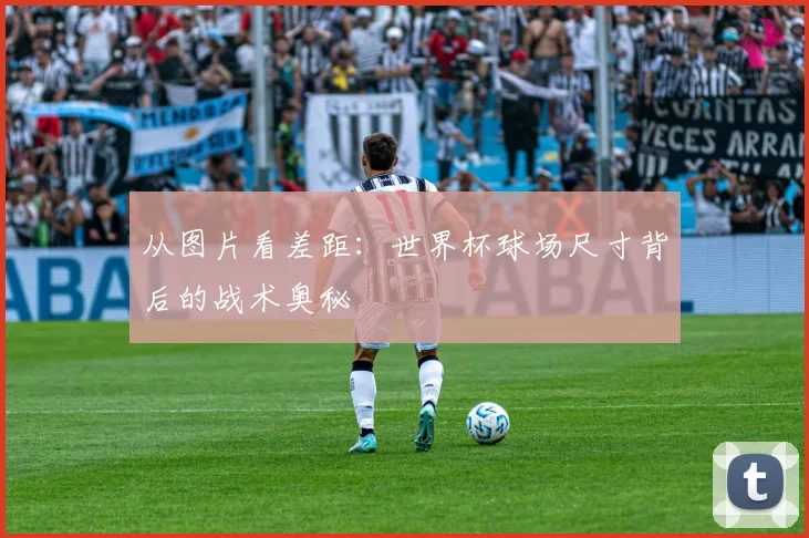 从图片看差距:世界杯球场尺寸背后的战术奥秘