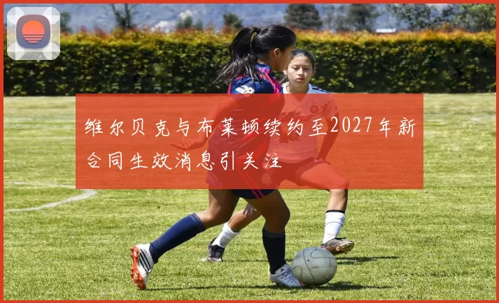 维尔贝克与布莱顿续约至2027年新合同生效消息引关注