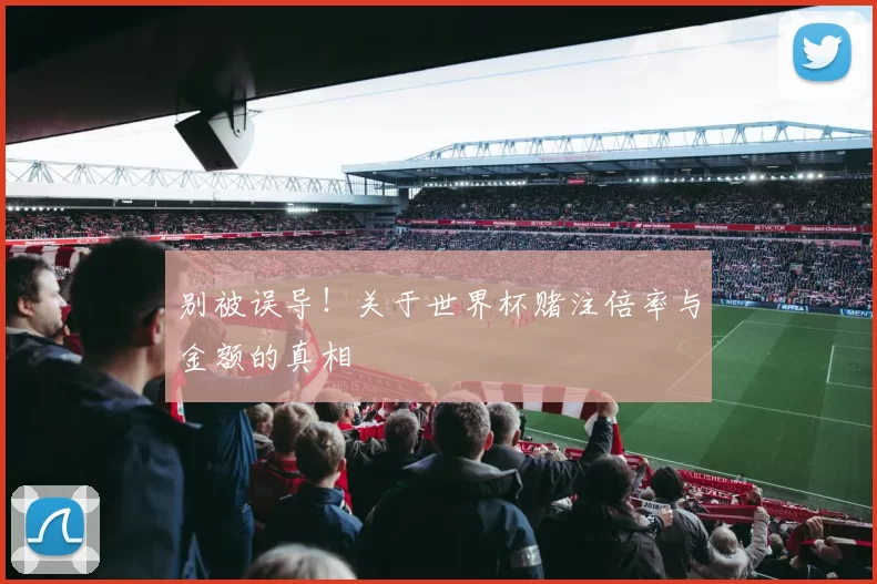 别被误导!关于世界杯赌注倍率与金额的真相