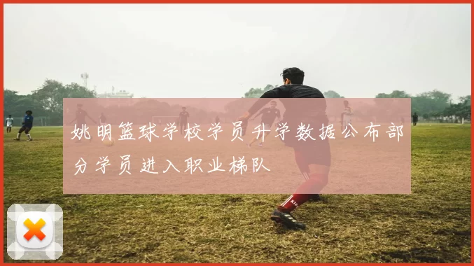姚明篮球学校学员升学数据公布部分学员进入职业梯队